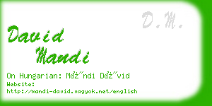 david mandi business card